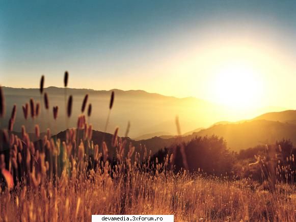 wallpaper from godtrunks - si in cele din urma un pci de natura - Show off